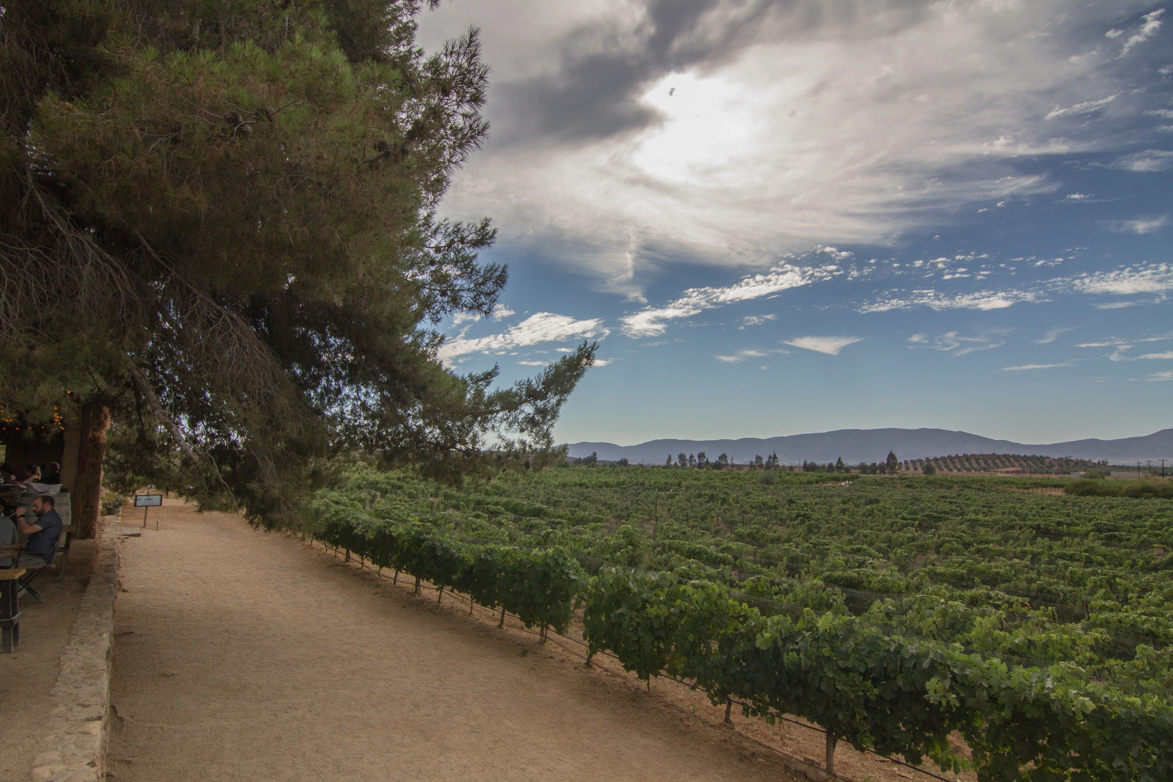 06_Valle_de_Guadalupe[1].webp